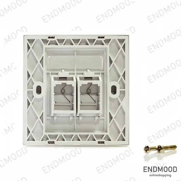 فیس پلیت 2 پورت رپیتون Rapiton Face Plate